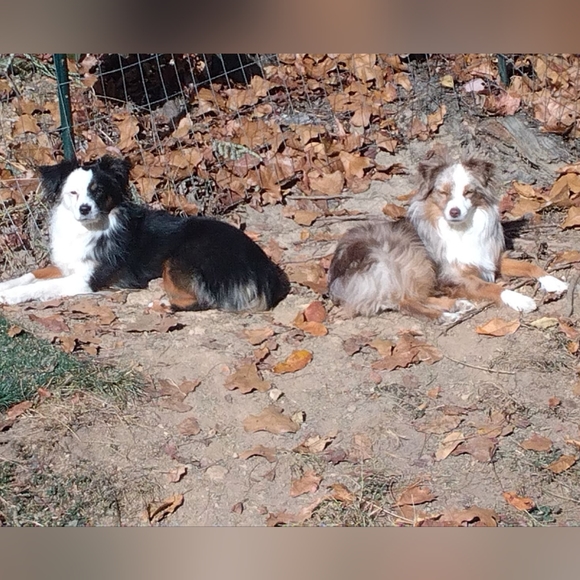 Meet your Posher, Shawne - Picture 2 of 16